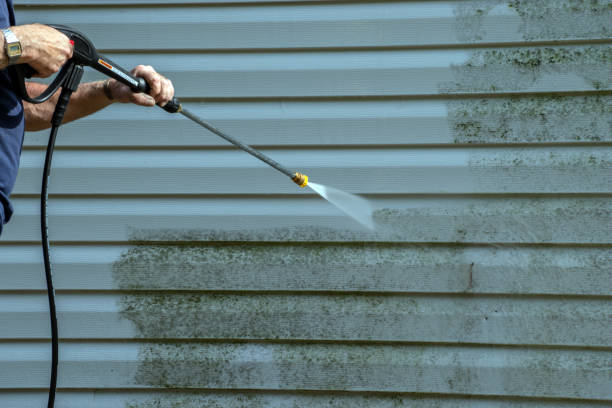 Best Solar Panel Cleaning  in Mount Prospect, IL
